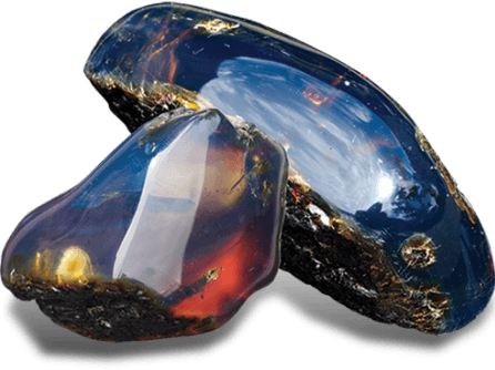 Dominican Amber