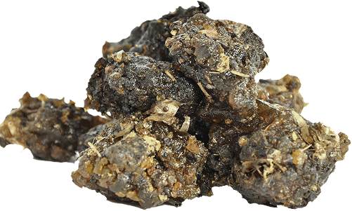 Indian Bdellium (Guggul)